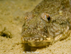 GROPPE by Jörg Menge 